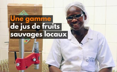 Burkina Faso : Une gamme de jus de fruits sauvages locaux