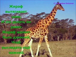 AЗБУКА ЖИВОТНЫХ Обучающие и Развивающие игры и фильмы для самых маленьких ДЕТЯМ ОЧЕНЬ НРАВИТСЯ