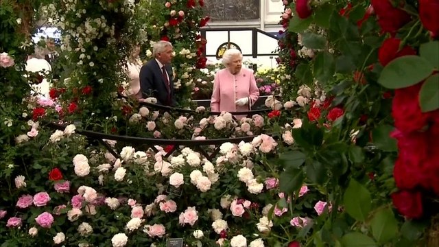 Праздник цветов с политическим оттенком