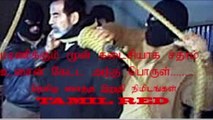 saddam hussein 's last minutes|TAMIL RED | truth of history
