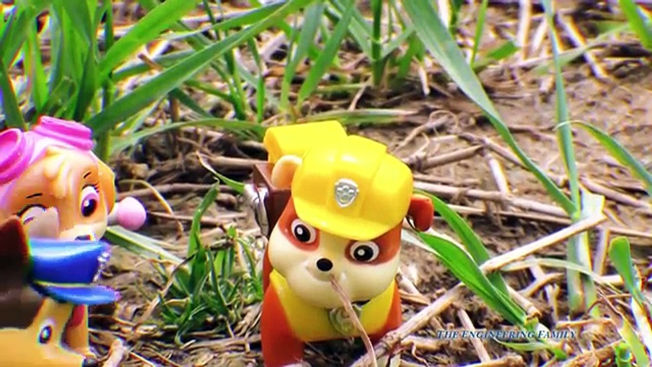 Paw Patrol Rubble Drives a Remote Control Boat a Funny Toy Parody