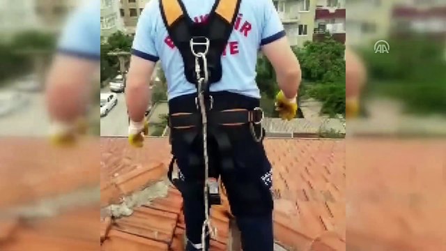 Apartman çatısındaki oluğa sıkışan martıyı itfaiye kurtardı - BALIKESİR