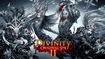 Divinity: Original Sin II - Trailer della versione Xbox Game Preview