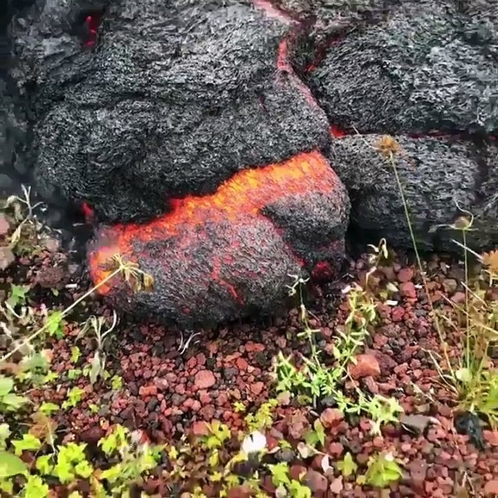 Lava Close up