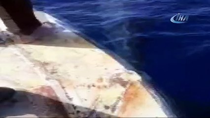 Fethiye'de balina görüntülendi