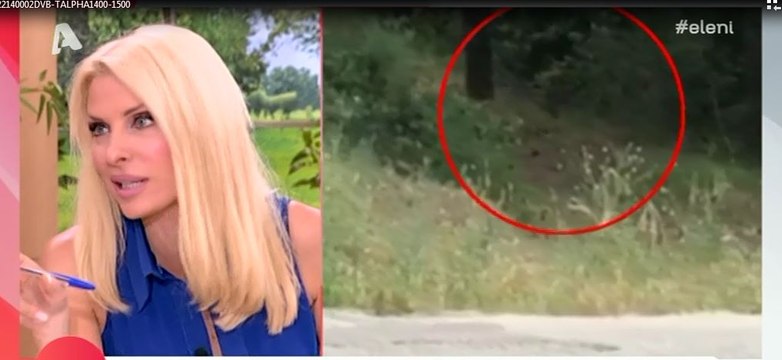 Τρελό Γέλιο! Η Ελένη έπεσε μούρη με μούρη με τα προβατάκια στο Κεφαλάρι και δε φαντάζεστε τι έκανε