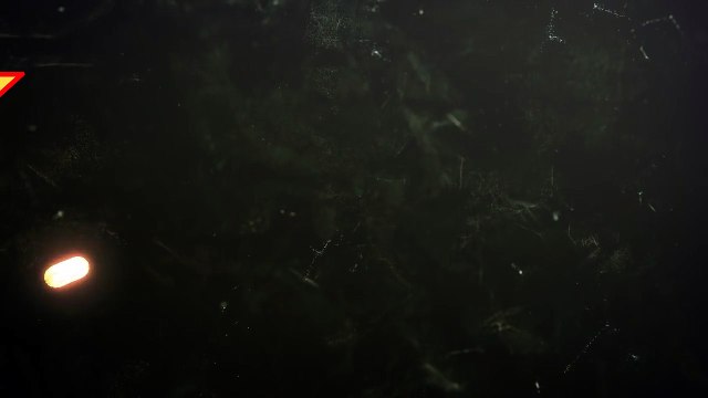 강원랜드이기는방법(N▶/」∫ KOR11.TK ∫「/◀N)다모아카지노 ∑ 다모아바카라