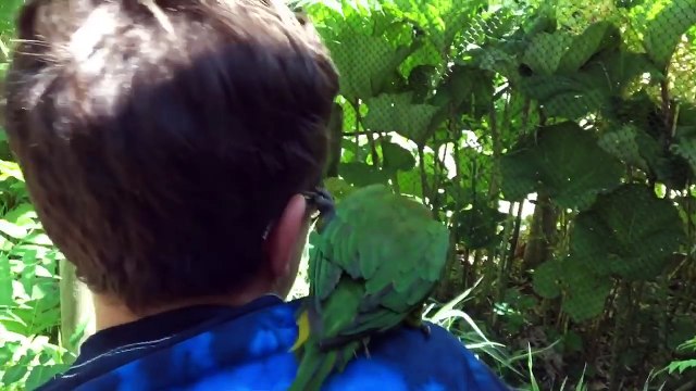 Funniest Pets - Animals of the Week Compilation May 2018 | Hilarious Try Not to Laugh Animals Fail