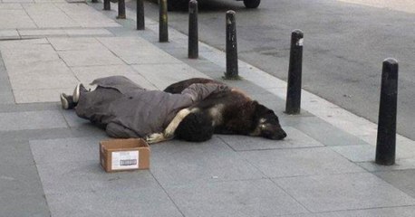 Sosyal Medyanın Konuştuğu, Sokak Köpeğine Sarılıp Uyuyan Genç, Dilenci Çıktı