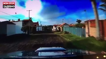 Paraguay : Il surprend deux cambrioleurs en entrant dans le garage de sa maison (vidéo)