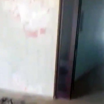 Pallati i Kulturës, Laç.