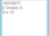 Safavieh Florida Shag Collection SG4681111 Cream and Cream Area Rug 8 x 10