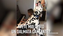 Hai mai visto un cane canterino?