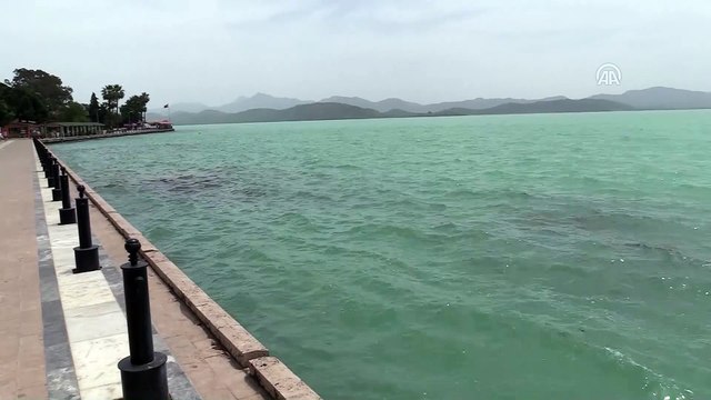 Köyceğiz Gölü'nün rengi değişti - MUĞLA