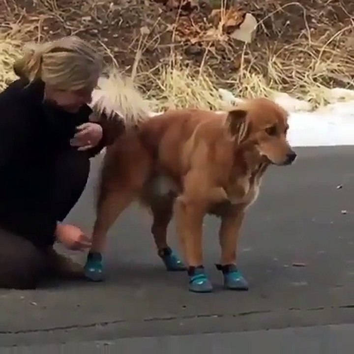 Mom i told you i don't like shoes