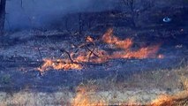 Denizli'de anız yangını ormana sıçradı... Ekiplerin müdahalesi sürüyor