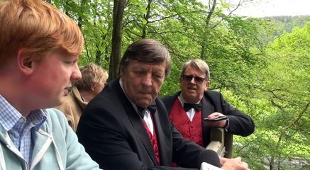 Singing from the treetops