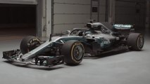 Formula 1 World Champion Lewis Hamilton on Racing and Fans