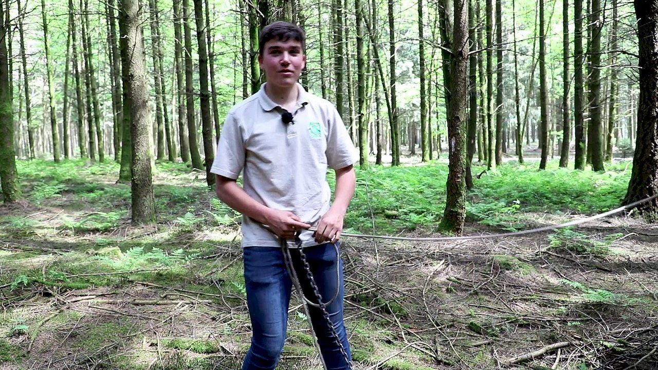 BERTRIX: Antoine, 17 ans, débardeur et amoureux des chevaux de trait