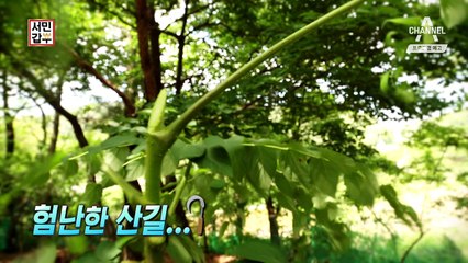 [예고] 500원의 기적! 15억 황금 알을 만드는 사나이