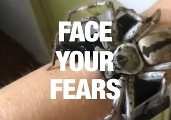 How to Overcome Your Fear of Insects