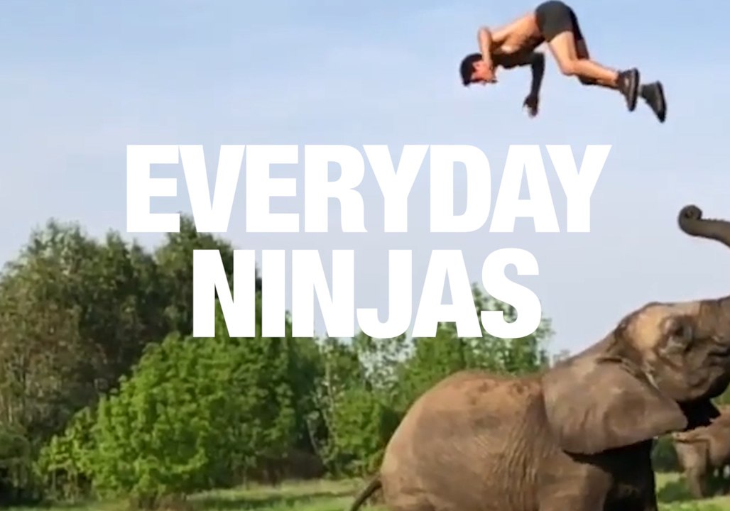 Everyday Ninjas