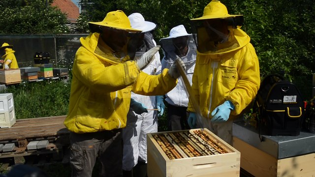 Elio Di Rupo a visité la section apicole des Haus-Pays