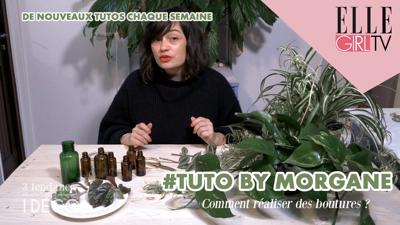 TUTO : Réaliser des boutures I 3 TENDANCES POUR 1 DECO avec MAREVA GALANTER sur ELLE GIRL TV ! #6