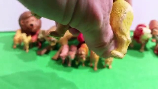 Toy Lions, Tigers, Mountain Lions, & Pumas - Toy Zoo Animals Collection - Leones y Tigres de Juguete