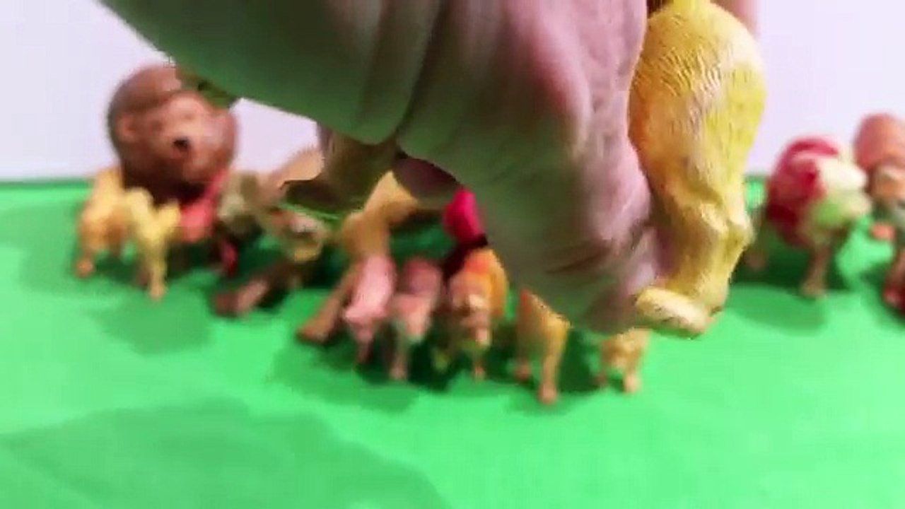 Toy Lions, Tigers, Mountain Lions, & Pumas - Toy Zoo Animals Collection - Leones y Tigres de Juguete