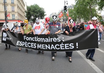 Manifestation du 22 mai à Paris