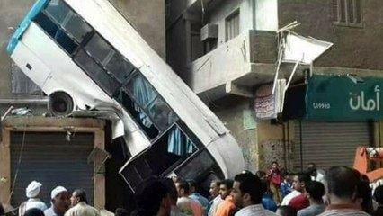 21 Photos That Are Hard to Look at With a Straight Face