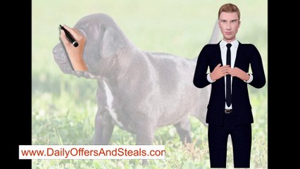 Pitbull Gifts For Pitbull Lovers