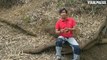 Snake Catcher Is Immune To Cobra Bites