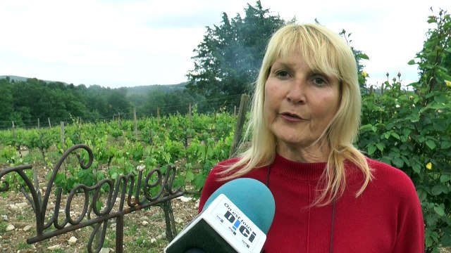 Alpes-de-Haute-Provence : la pénurie est annoncée, aurez-vous du rosé cet été ?