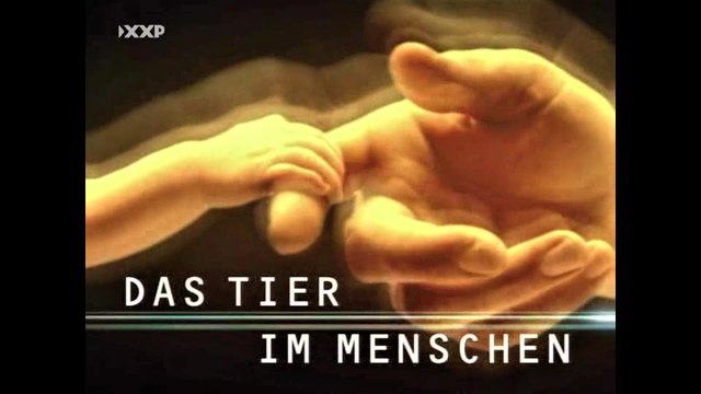 Das Tier im Menschen - 2003 - 2v4 - Auf 6 programmiert - by ARTBLOOD