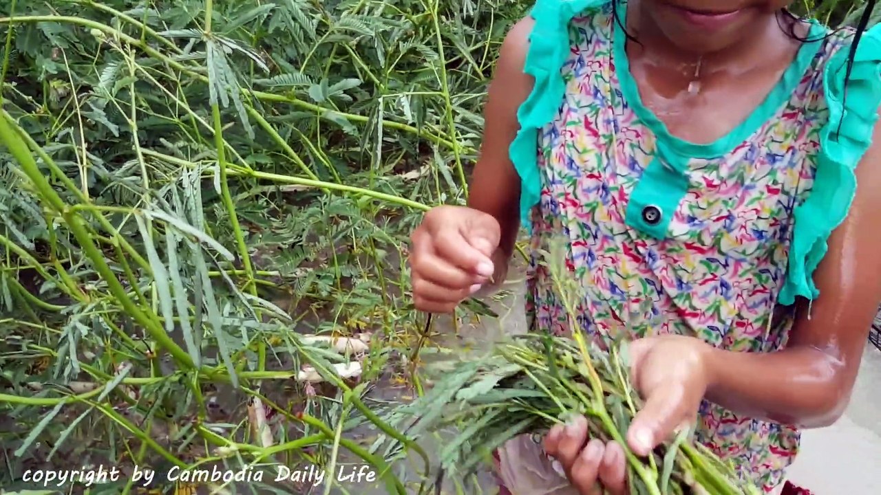 Amazing Smart Little Girl Catch Big Snakes Using Fan Guard Trap (Part 3)