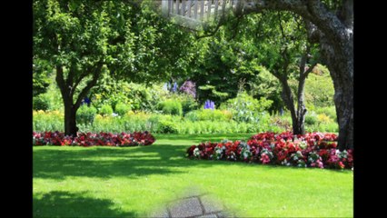 Centuries Landscape LLC - Las Vegas - (702) 213-8518