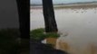 Shenandoah River Floods Historic Covered Bridge in Virginia