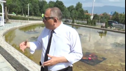 Nilüferler Çiçek Açtı