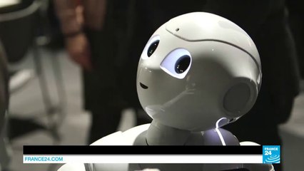 Les Japonais, entre Consommation Traditionnelle et Achat en ligne - HD (2016)