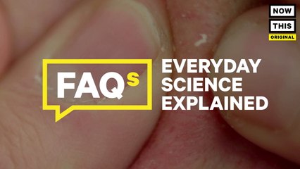 There’s Science Behind Our Love Of Pimple Popping Videos