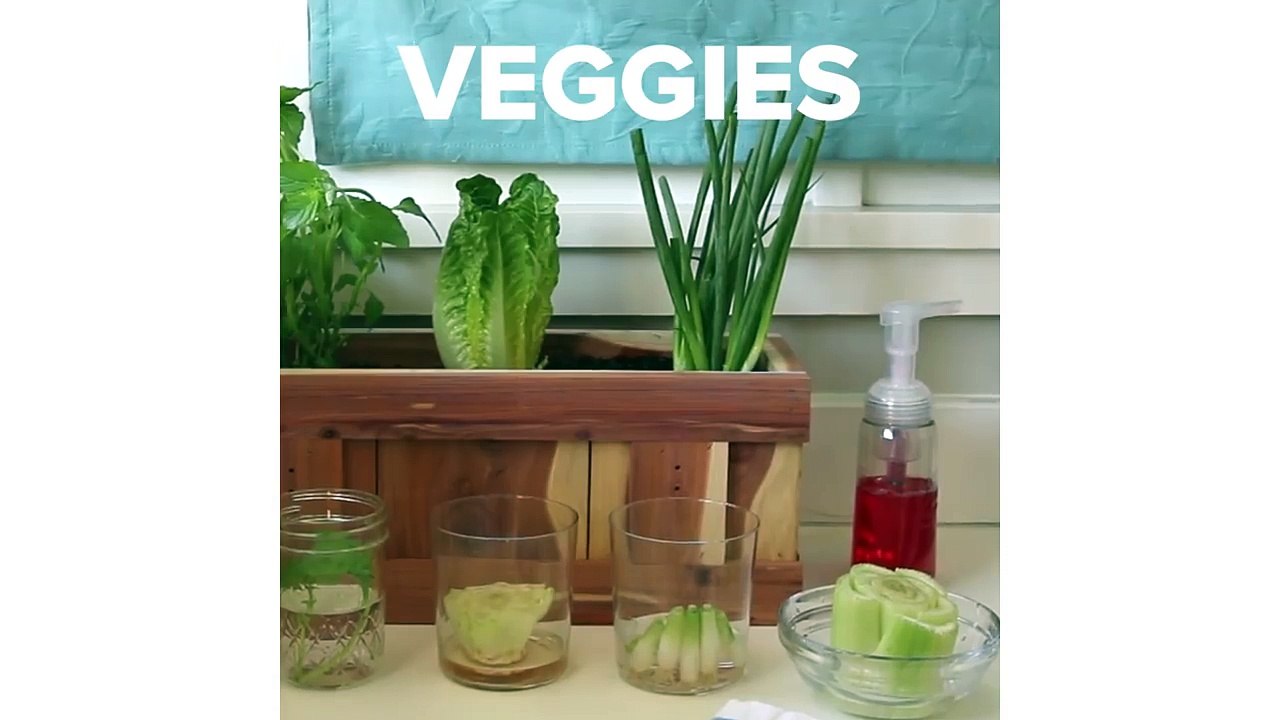 How To Regrow Everything