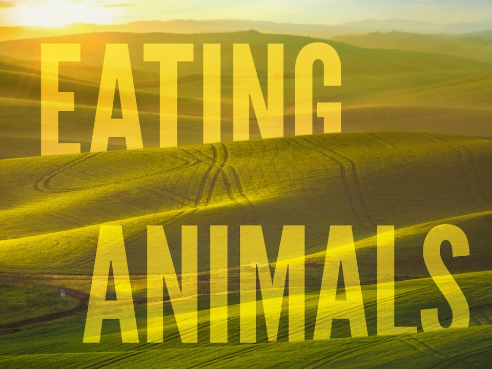 Eating Animals