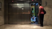 TAHITIAN ELEVATOR (REMI GAILLARD)