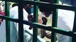 پی ٹی ایم کا سبز ہلالی سے بغض جاری، سوات میں نوجوان کو جلسے سے باہر نکال دیا - دا سنگہ آزادی دے ؟