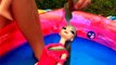 Anna and Elsia Slimed: Slime Baff : Elsya and Annya Slime Baff Pool Fun Toys and Dolls