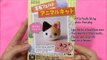 3 Japanese DIY Crafts: DIY Cat Needle felting Phone Dust Plug + DIY Ramen Candy + DIY Felt Cake