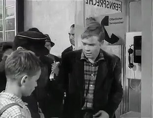 ALLE meine TIERE + 1 Eisbergsalat Update 04 | Die Meeries part 1/3