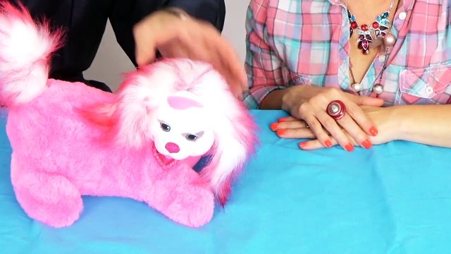 MAMAN CHIEN PUPPY SURPRISE EST ENCEINTE - Le DOCTEUR DÉMO JOUETS ACCOUCHE LES BÉBÉS CHIOTS